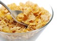 Healthy fiber cereal Royalty Free Stock Photo