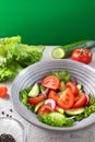 Healthy fitness fresh simple salad. Healthy food Vegetable green salad cucumbers tomatoes onions vertical banner Royalty Free Stock Photo