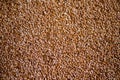 Healthy Flax Seed Background