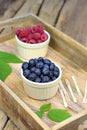 Fresh ripe blueberries and raspberries in two bowls. Royalty Free Stock Photo