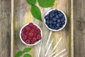 Fresh ripe blueberries and raspberries in two bowls. Royalty Free Stock Photo