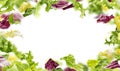 Healthy food background, frame of salad leaves Royalty Free Stock Photo
