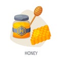 Healthy Food for Brain, Organic Natural Honey Products Vector Illustration Royalty Free Stock Photo