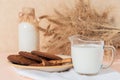 Healthy food, breakfast, cereal snack. Fresh milk in a glass jug and oatmeal cookies on the table, an armful of ears of corn on a Royalty Free Stock Photo