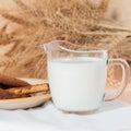 Healthy food, breakfast, cereal snack. Fresh milk in a glass jug and oatmeal cookies on the table, an armful of ears of corn on a Royalty Free Stock Photo