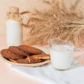 Healthy food, breakfast, cereal snack. Fresh milk in a glass jug and oatmeal cookies on the table, an armful of ears of corn on a Royalty Free Stock Photo