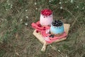 Healthy food breakfast Granola yogurt with homemade blueberry and raspberry in glass jar in grass Royalty Free Stock Photo