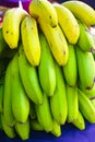 Healthy food bunch of banana tropical fruit riping on banana tre Royalty Free Stock Photo