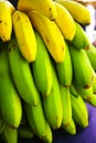 Healthy food bunch of banana tropical fruit riping on banana tre Royalty Free Stock Photo