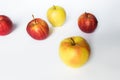 Healthy food concept - fresh fruits and apples and weight loss on a white background.