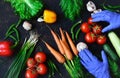 Healthy food concept with fresh vegetables and gloved hands on a dark background: tomato, zucchini, onion, lettuce, dill Royalty Free Stock Photo