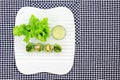 Healthy food concept, Fresh vegetables spring rolls. Royalty Free Stock Photo