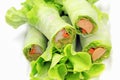 Healthy food concept, Fresh vegetables spring rolls. Royalty Free Stock Photo