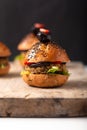 Healthy food concept Homemade mini hamburgers on wooden board with copy space Royalty Free Stock Photo