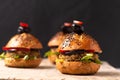 Healthy food concept Homemade mini hamburgers on wooden board with copy space Royalty Free Stock Photo