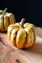 Healthy food concept organic sweet dumpling squash pumpkin on wood Royalty Free Stock Photo