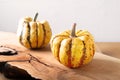 Healthy food concept organic sweet dumpling squash pumpkin on wood Royalty Free Stock Photo