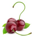 Healthy food concept. Question mark. Cherry isolated on white background Royalty Free Stock Photo