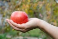 Woman`s hand holding red appl against green natural background