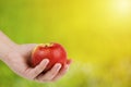 Healthy food concept. Woman`s hand holding red appl against green natural background