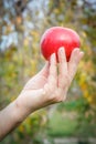 Woman`s hand holding red apple against the natural background Royalty Free Stock Photo