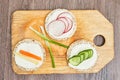 Healthy food - cucumber, radish and carrot slices with sour crea Royalty Free Stock Photo