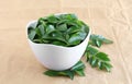 Healthy Food Curry Leaves or Kadi Patta in a Bowl Royalty Free Stock Photo