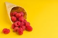 Healthy food and diet concept. A scattering of fresh juicy natural raspberries in a waffle cone for ice cream. Minimalism on a Royalty Free Stock Photo