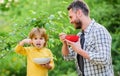 Healthy food and dieting. This should be fine. happy fathers day. Little boy with dad eat cereal. Family bonds. Enjoying Royalty Free Stock Photo