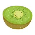 healthy food exotic fruit kiwi flat icon style