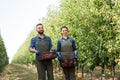 Healthy food, farmer picking fruits in orchard