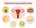 Healthy food for female reproductive system infographics. Prevention of diseases of the uterus and ovaries, hormonal