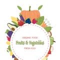 Healthy food frame vector illustration. Hand drawn Vegetables and fruits . Organic food banner. Good nutrition. Royalty Free Stock Photo