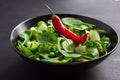 Healthy food. Fresh green salad. Royalty Free Stock Photo