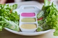 Fresh vegetable salad roll with three Colorful salad dressing Royalty Free Stock Photo