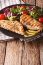 Healthy food: grilled chicken and mix salad of chicory, tomatoes Royalty Free Stock Photo