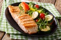 Healthy food: grilled salmon fillets with vegetable salad and ar Royalty Free Stock Photo