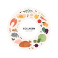 Healthy food guide concept. Vector flat illustration. Infographic of collagen vitamin sources. Circle frame chart. Colorful