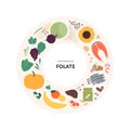 Healthy food guide concept. Vector flat illustration. Infographic of folate b9 vitamin sources. Circle frame chart. Colorful