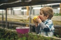 Healthy food. healthy food for healthy child. organic food concept. small boy farmer eating healthy food of apple fruit Royalty Free Stock Photo