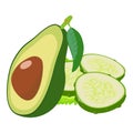 Healthy food icon isometric vector. Ripe green avocado half near cucumber slice