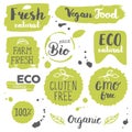 Healthy food icons, labels. Organic tags. Natural product elements. Logo for vegetarian restaurant menu. Raster illustration. Low