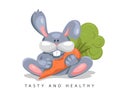 Healthy food illustration for vegan. Cartoon bunny with carrot vector cartoon symbol health diet Royalty Free Stock Photo