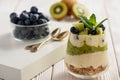 Healthy food -layered dessert with yogurt, muesli, kiwi and blueberry.