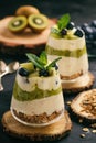 Healthy food -layered dessert with yogurt, muesli, kiwi and blueberry.