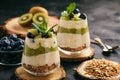 Healthy food -layered dessert with yogurt, muesli, kiwi and blueberry.