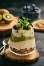 Healthy food -layered dessert with yogurt, muesli, kiwi and blueberry.