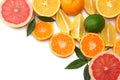 healthy food. mix sliced lemon, green lime, orange, mandarin and grapefruit with green leaf isolated on white background top view Royalty Free Stock Photo