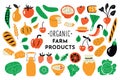 Healthy food, organic products set. Funny doodle hand drawn vector illustration. Farm market cute nutrition collection. Royalty Free Stock Photo