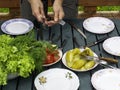 Healthy food preparing outdoors on summer or spring picnic. Fresh vegetables, salad, dill